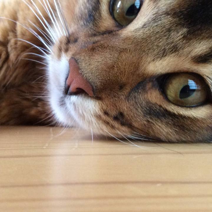 B09a7a07 c41e 4172 8c3f 2801df492bc9 1570506358334