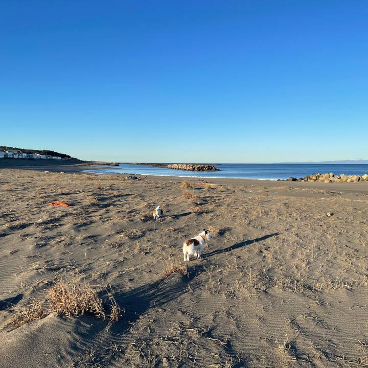 B09aa9bb d0f2 4618 ac18 6fd61d4e25ae 1772063365156