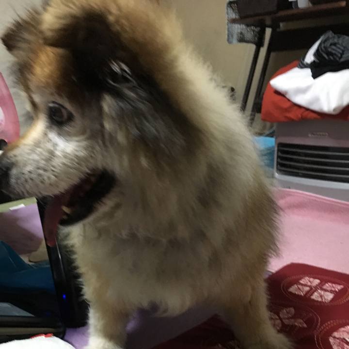 B09b0261 ad9b 4024 b106 cd488ba21634 1604899075284