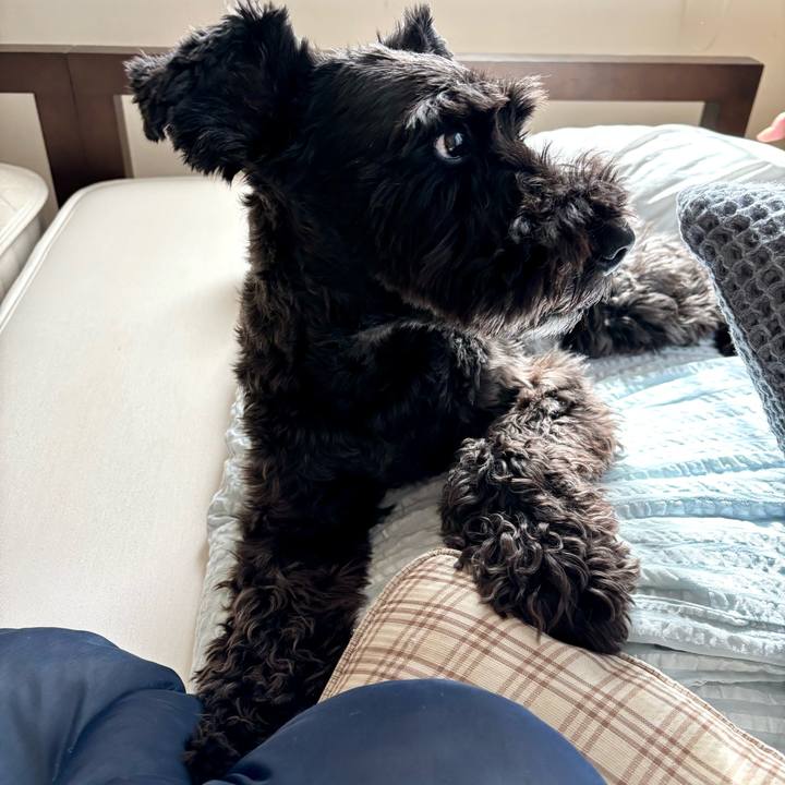 B09b19d6 fa5a 4038 ad13 18b547b6e9b7 1757130715856