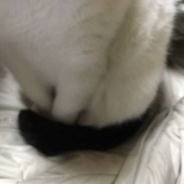 B09b3140 c5a3 45d7 a58f a551e028baf8 1512492011092