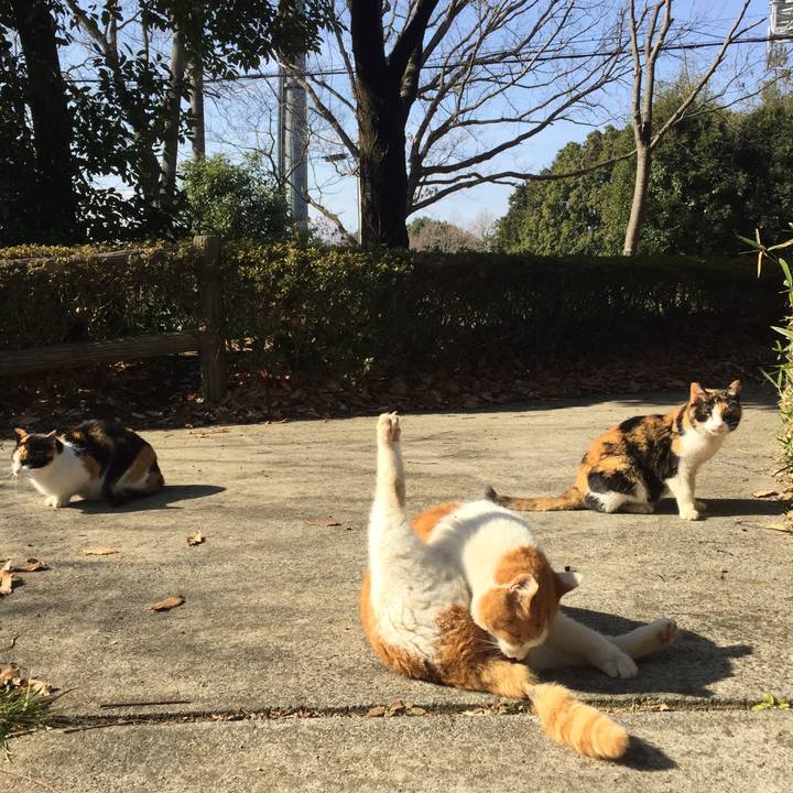 B09b46b9 5286 4523 8859 08062873305f 1516528806513