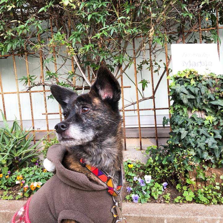 B09b5401 9d89 41a0 ae26 fd32f6c15bf2 1576018376330