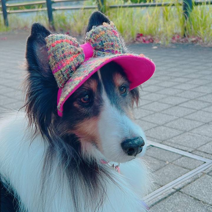 B09b591c bc89 48c9 99c2 d949fe633213 1699372604715