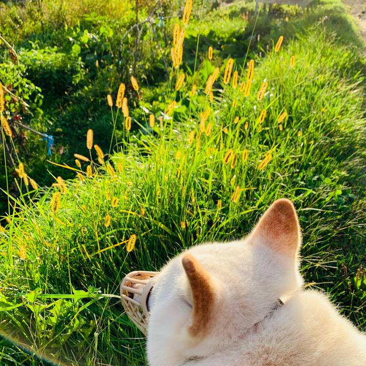 B09b9f46 08a0 49e9 9f53 838a447dd776 1601330222852