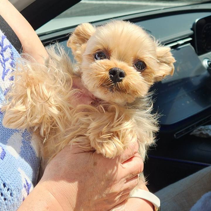 B09bdddc 32ba 4916 a78e 3ad38b121c9b 1757919999527