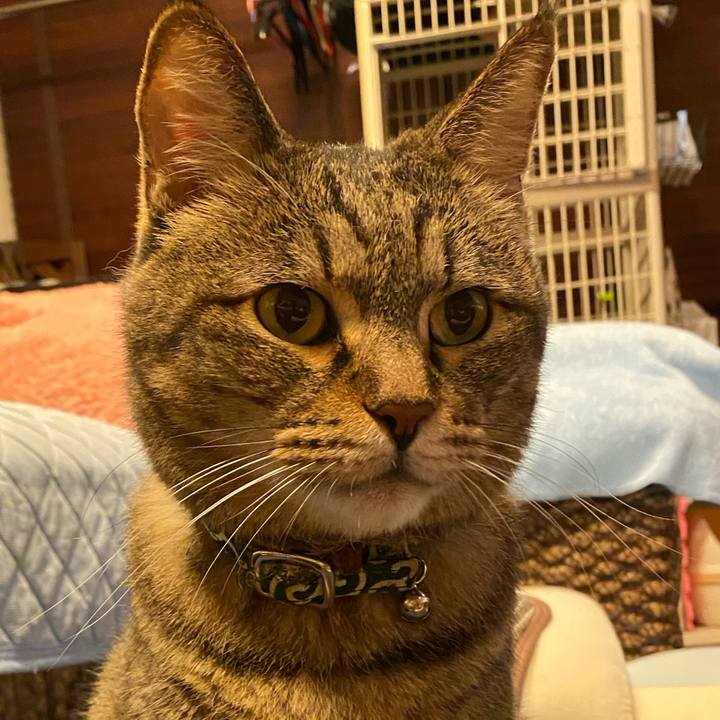 B09c27a7 955f 464b 8a29 b91532523c20 1595763476344