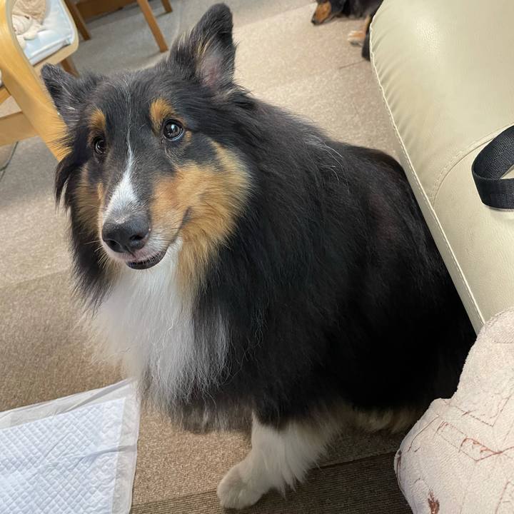 B09c4438 26ee 4813 b86f a5a1bb09f28f 1627423697106