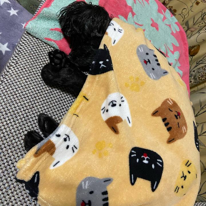 B09c96ae b90f 4ef3 ba5a 73f75d5846f3 1617463982709