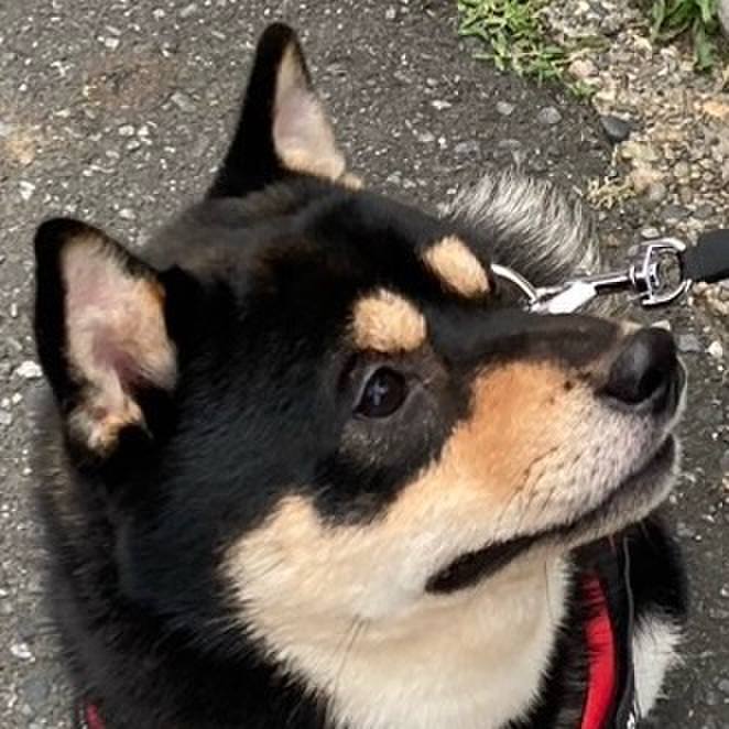 B09ca9a7 6d8b 4b58 800f 33a127bab28b 1719620888368