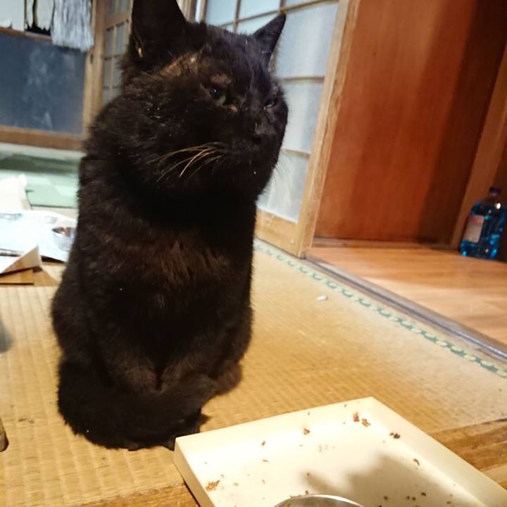 B09cbf32 0c0d 4222 8113 fc2dad10f820 1617099645988