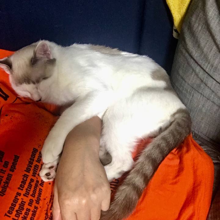 B09cf919 1275 40aa 9a01 77524958f9a6 1538634893468