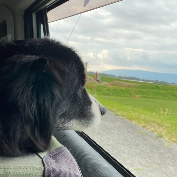 B09cff15 f176 4e00 82e8 daf0cb041f91 1681164372100