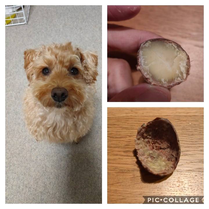 B09d0e04 a694 45fe bcd0 e91ab2732ae3 1601552965640