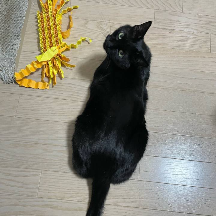 B09d166c 8a0f 421f a516 fed7ff7ebb3f 1708075849328