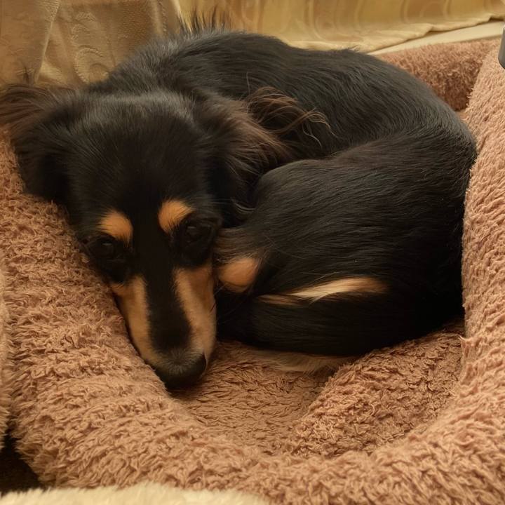 B09d2044 d012 49c0 968f a08149f4e5b3 1701236617120