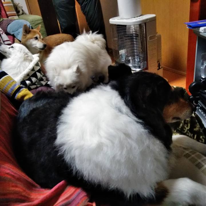 B09d7bea 0bb1 46a0 9abe 54df94085714 1547389587679