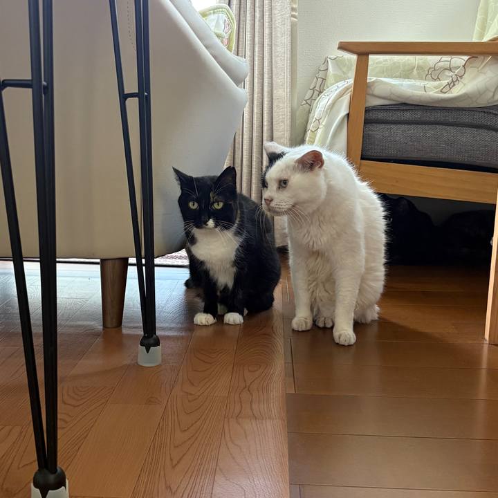 B09dacb9 9571 4307 b496 8be402969745 1756442407044