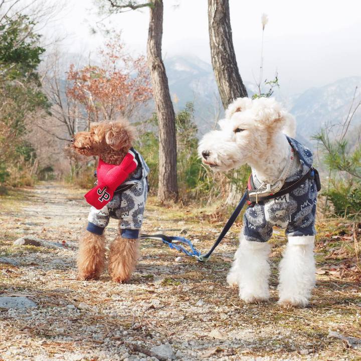 B09daefe c3cf 4304 9309 98a9efe449ab 1546667239047