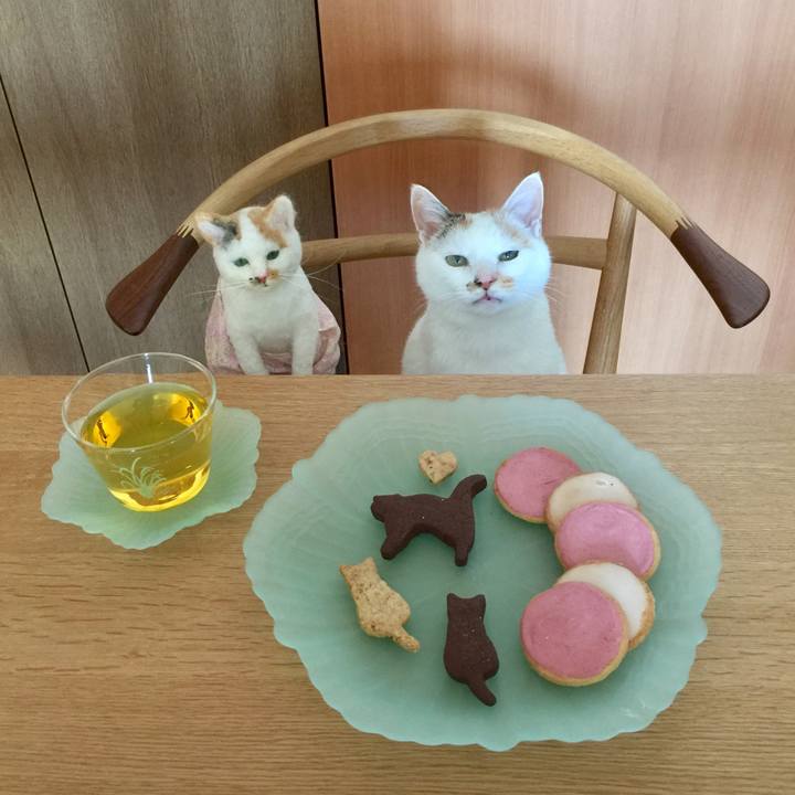 B09de5ee 2a0b 4f80 85c4 df1775c12be4 1527563268826