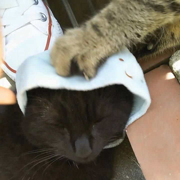 B09e1e19 91ce 4555 ac0d 146cec9ebe2c 1557028625326