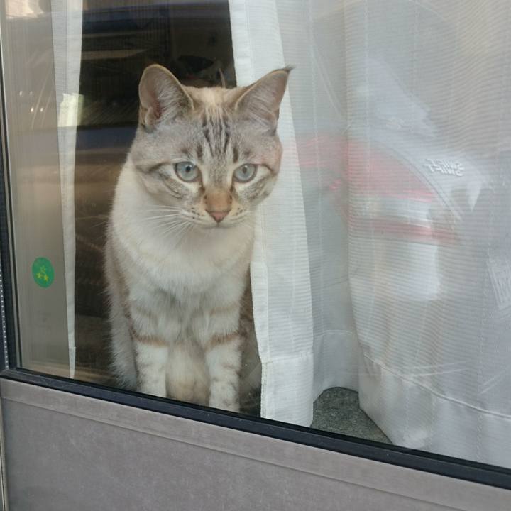 B09e287c 76be 414c ae5a eac46c923794 1509058797521