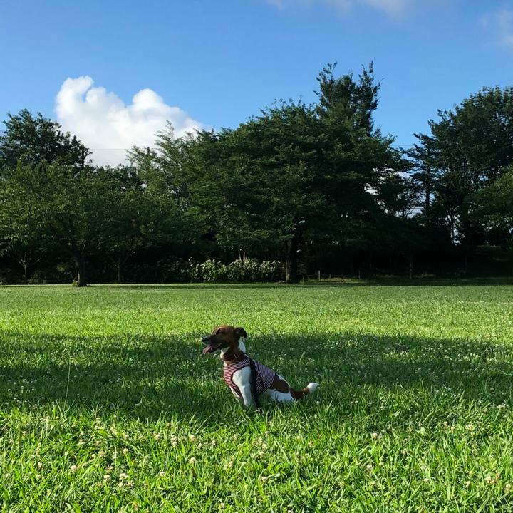 B09e33b1 6625 45ce 95b4 1edfdc493763 1531177049460