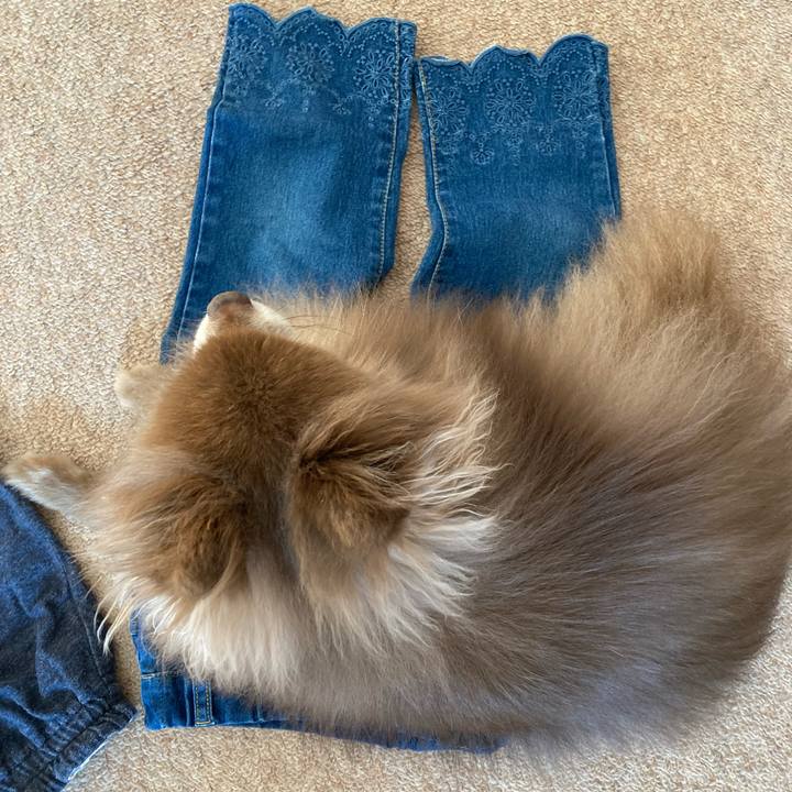 B09e376d 525d 42cd b0cc 39dbd370c71f 1673138938094