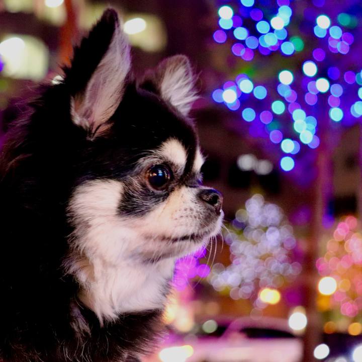 B09e390b 9cba 4dd0 a51e 93712a406339 1763451599106