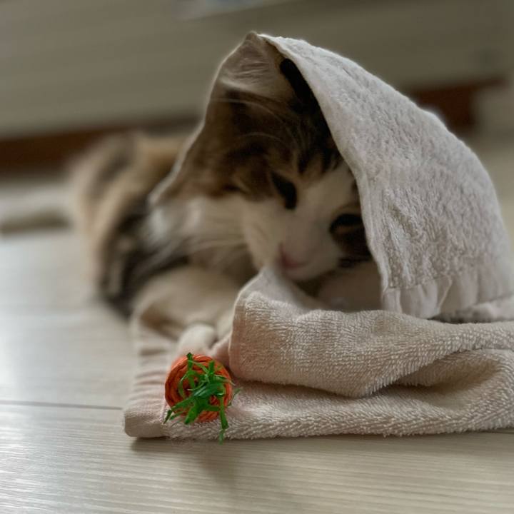 B09e8401 a961 476f a99b 50b02ab4fa8c 1652990182214