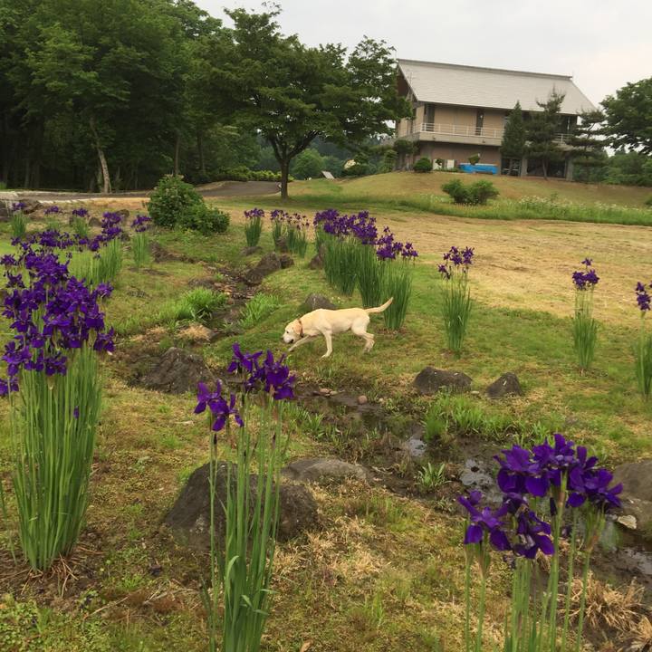 B09e87f6 f831 47f3 a291 a9afd03b7642 1554277389333