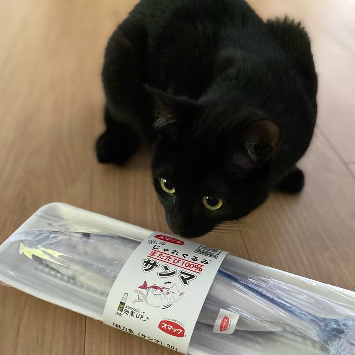 B09e93c9 7801 4d84 b784 18654b7d9f1b 1622289723772