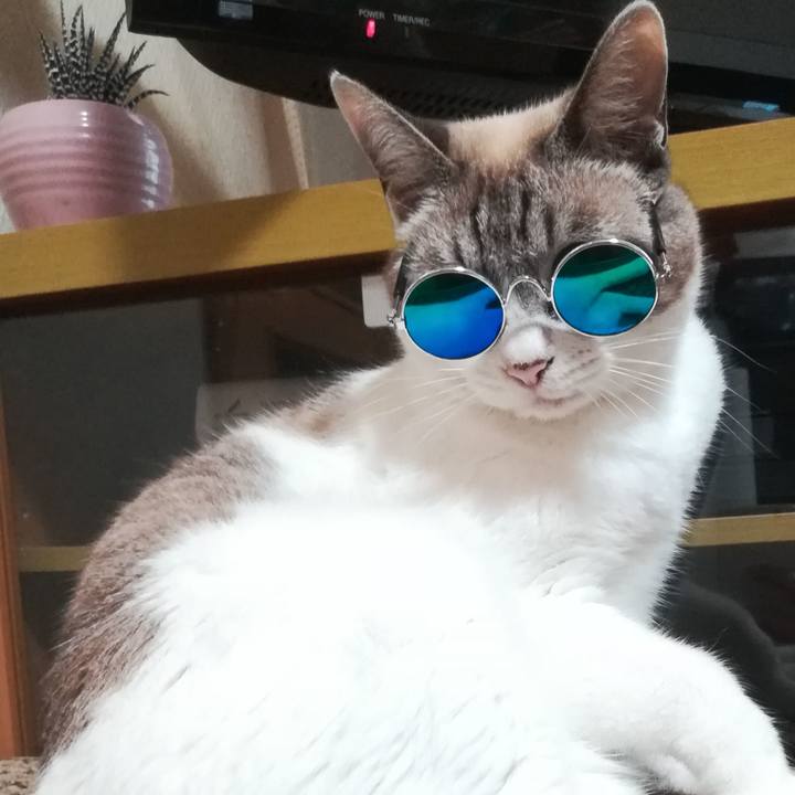 B09ea210 fb0d 498e a6c2 7f0571c97ce3 1596528395790