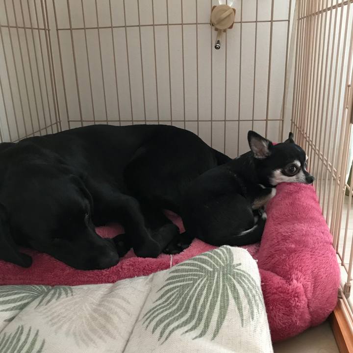 B09ea9ab c47b 41d5 9939 88d98e4d8c6d 1523832124225