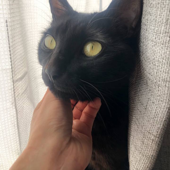 B09ecb18 4823 48a9 a8a0 2ef1e01ecd03 1646529899596