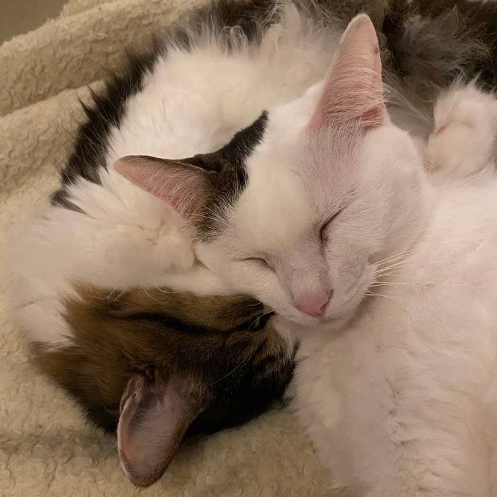 B09edc25 77e9 4018 9fda a76a94a5e719 1665527210278