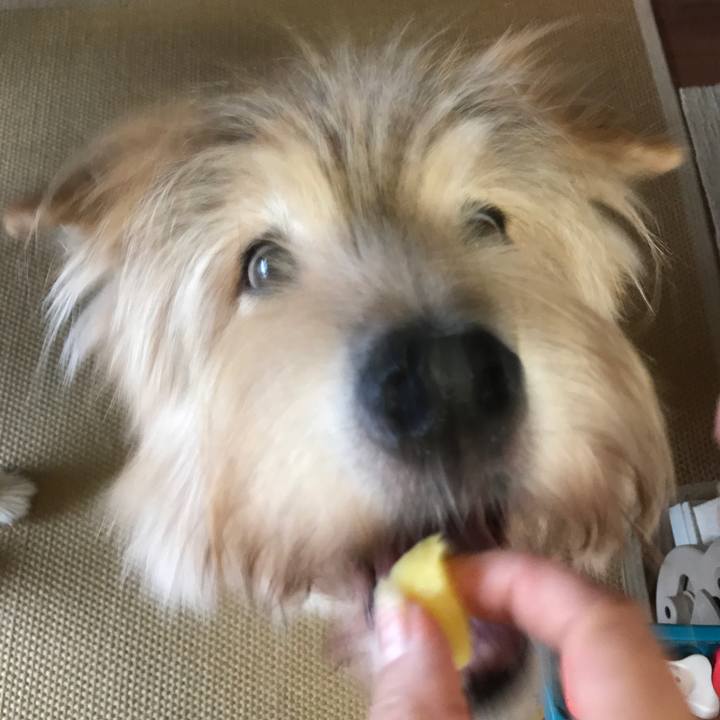 B09edc6b d054 41a5 9362 3b4458d0a455 1634092992263