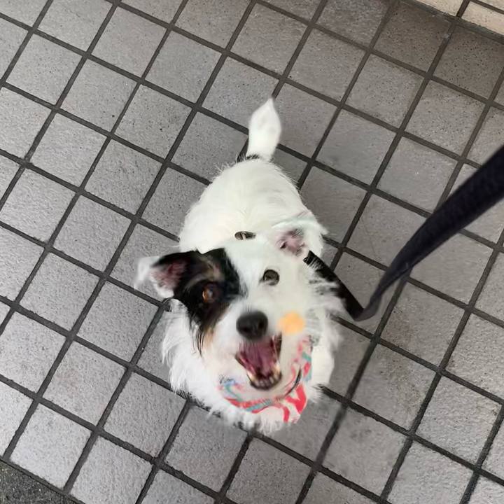 B09eea56 ac16 40ab b312 7cbc3569134d 1658271938507