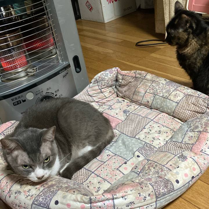 B09f00f4 9a97 4773 b2a8 43c96beb373b 1665144443376