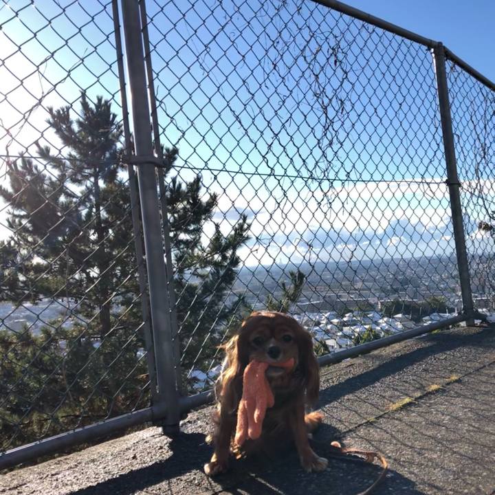 B09f0a19 d471 4772 b88c 5cc3617eae28 1609373231642