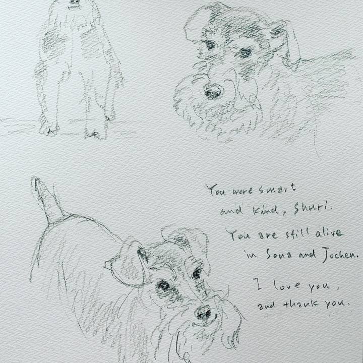 B09f1613 dfe5 4268 be68 e15cbf05f2fe 1571984300379