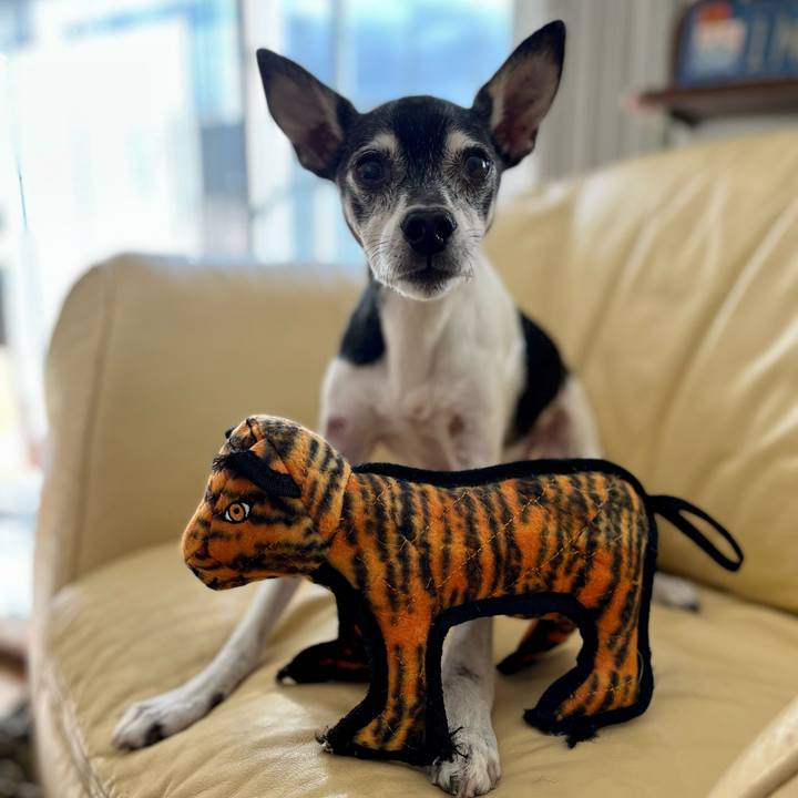 B09f3952 eb32 47a4 93f3 8ef82589faf0 1640515641306