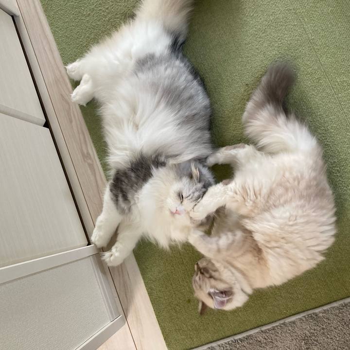 B09f5af2 2e5e 4762 86f4 ab62d6b19a7e 1676196059582