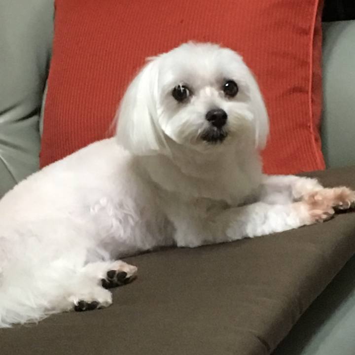 B09f5da6 33b2 4a49 b07a 5750f22fb084 1537618340474