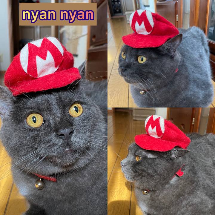 B09f7f8c 27f7 4c28 8af2 385d5311d409 1687093077526