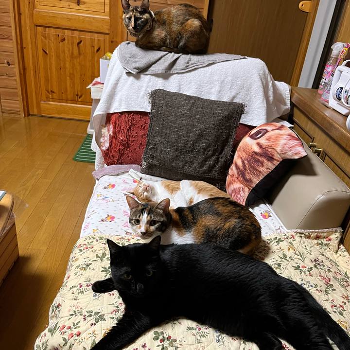 B09f8b49 0541 457e 8255 efb6237e5d8e 1665223472115