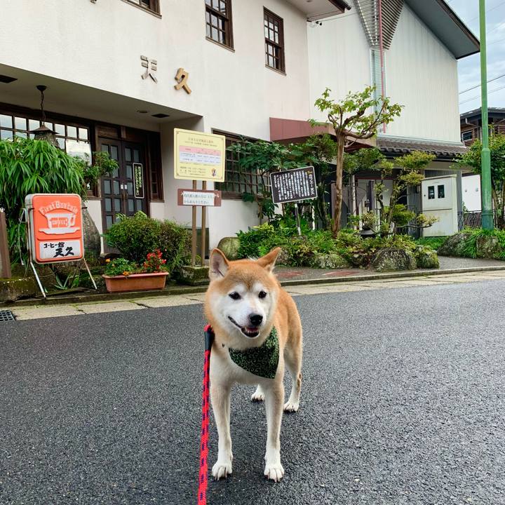 B09f9dd8 ba57 475d b53b 00caa4c442e0 1694336751772