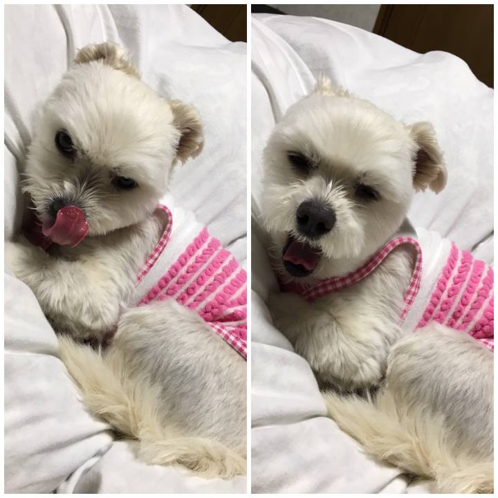 B09fd8f3 c476 4ce5 b3ab 5eb82bb0fd40 1556453536356