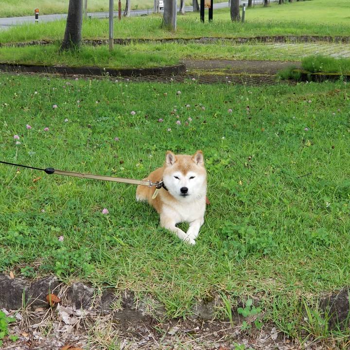 B0a03220 97db 4e3b 98f8 c46c337b7d39 1661906748866