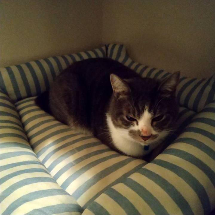 B0a05dc8 e85d 4dd7 ad26 463c75b3a4f6 1604958438957